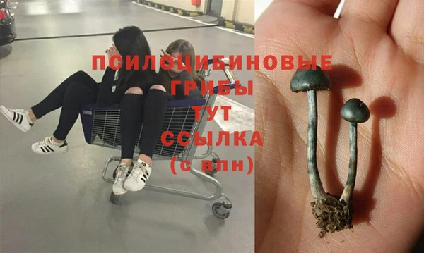 спиды Лихославль
