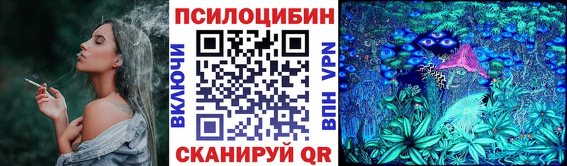 Галлюциногенные грибы мицелий  Купить закладки  Инза 